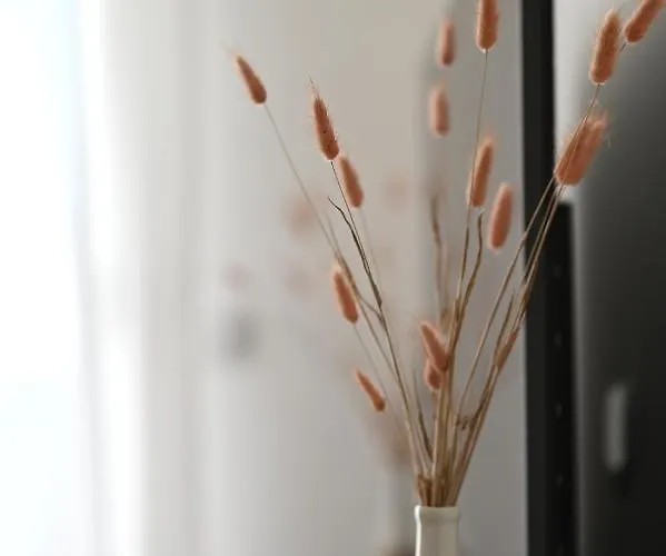 Lovre Apartment Zadar