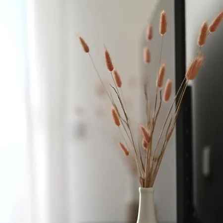 Lovre Apartman Zadar